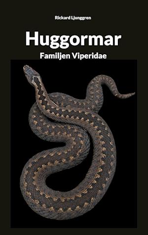Cover for Rickard Ljunggren · Huggormar : familjen Viperidae (Paperback Book) (2024)