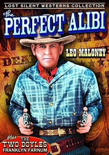 Cover for Perfect Alibi (DVD) (2014)