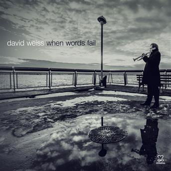 When Words Fail - David Weiss - Muzyka - MEMBRAN - 0885150338490 - 20 czerwca 2019