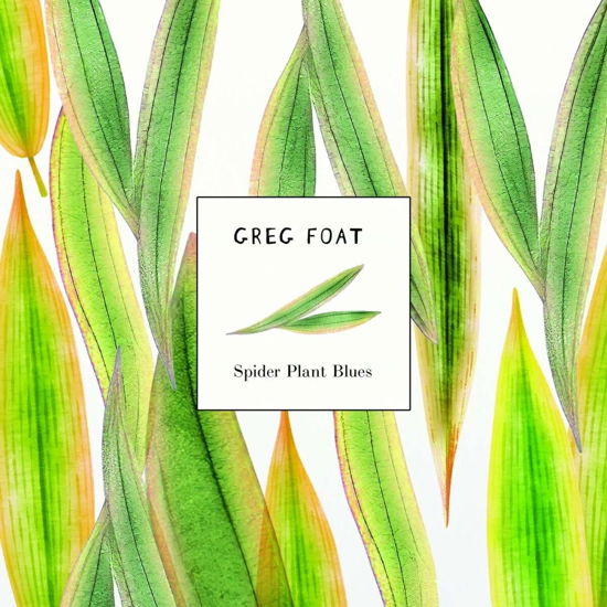 Spider Plant Blues - Greg Foat - Muziek - AMERITZ MUSIC - 5063431667490 - 24 mei 2024