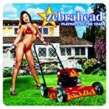 Cover for Zebrahead · Zebrahead - Playmate Of The Year (CD) (2003)