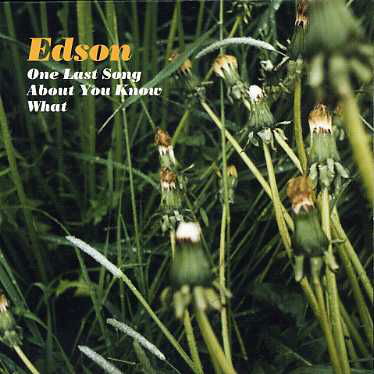 Cover for Edson · One Last Song About You Know What (CD) (2008)