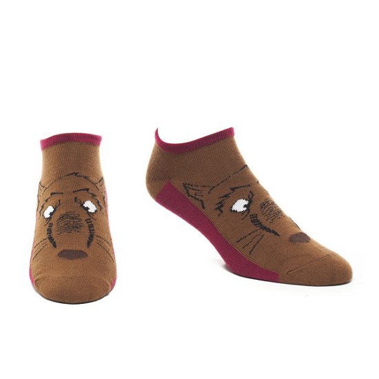 Turtles - Splinter Ankle Sock - Size 43/46 (81218TMT-43) - Bioworld Europe - Merchandise -  - 8718526019490 - 