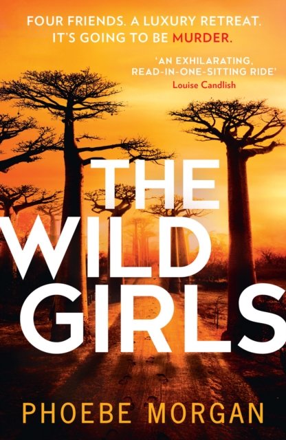 Cover for Phoebe Morgan · The Wild Girls (Paperback Book) (2022)