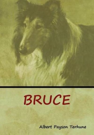 Cover for Albert Payson Terhune · Bruce (Hardcover Book) (2018)