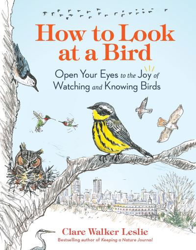 Cover for Clare Walker Leslie · How to Look at a Bird: Open Your Eyes to the Joy of Watching and Knowing Birds (Paperback Book) (2024)