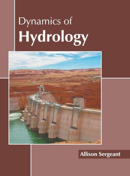 Cover for Allison Sergeant · Dynamics of Hydrology (Hardcover Book) (2019)