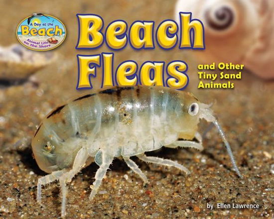 Cover for Ellen Lawrence · Beach fleas and other tiny sand animals (Book) (2017)