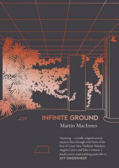 Cover for Martin MacInnes · Infinite Ground: ‘A totally original, surreal mystery’ (Jeff VanderMeer) from the Booker Prize-listed author of In Ascension (Paperback Book) [Main edition] (2017)