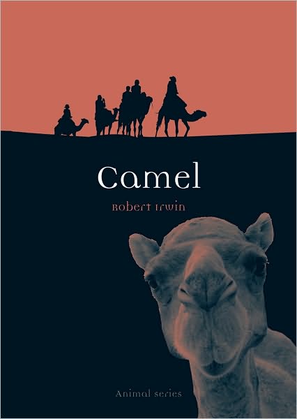 Camel - Animal Series - Robert Irwin - Kirjat - Reaktion Books - 9781861896490 - lauantai 1. toukokuuta 2010