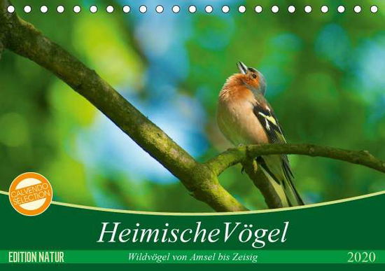 Cover for Mooß · Heimische Vögel (Tischkalender 202 (Book)