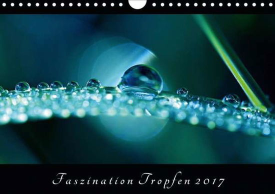 Cover for Brockmann · Faszination Tropfen 2020 (Wan (Book)