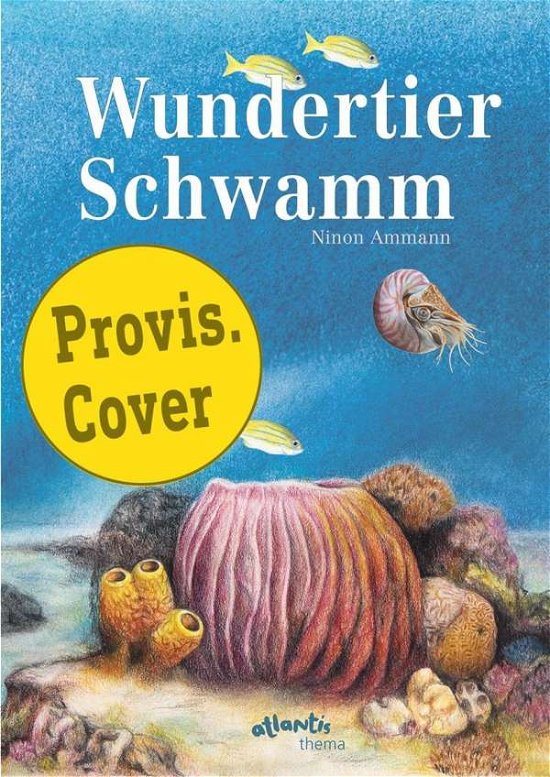 Cover for Ammann · Wundertier Schwamm (Bok)