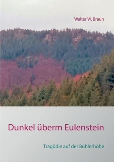 Cover for Braun · Dunkel überm Eulenstein (Bok) (2020)
