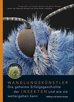 Cover for Veronika Straaß · Wandlungskünstler. Die geheime Erfolgsgeschichte der Insekten und wie sie weitergehen kann (Hardcover Book) (2021)