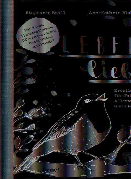 Cover for Brall · Leben lieben (Book)