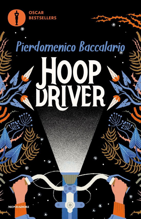 Cover for Pierdomenico Baccalario · Hoopdriver (Bok)