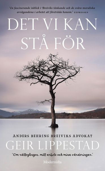 Cover for Geir Lippestad · Det vi kan stå för : Anders Behring Breiviks advokat om rättegången, pressen, sitt arbete och sina värderingar (Paperback Book) (2017)