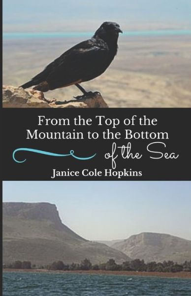 From the Top of the Mountain to the Bottom of the Sea - Janice Cole Hopkins - Książki - Independently Published - 9798633358490 - 2 kwietnia 2020