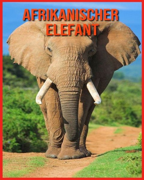 Cover for Annie Nichols · Afrikanischer Elefant (Paperback Book) (2021)