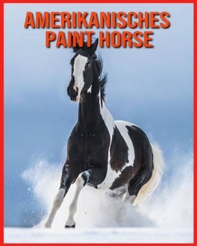 Cover for Linda Davis · Amerikanisches Paint Horse (Paperback Book) (2021)