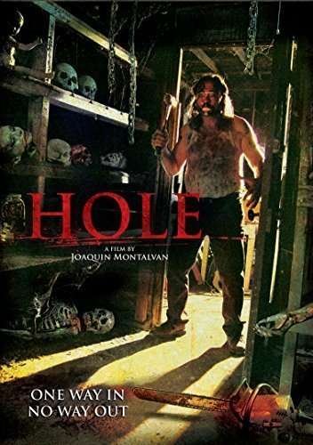 Cover for Hole (DVD) (2015)