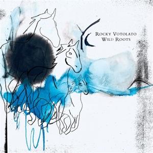 Cover for Rocky Votolato · Wild Roots (CD) (2022)