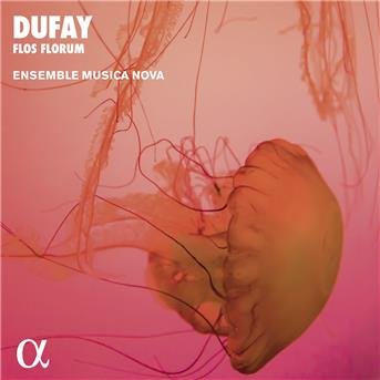 Cover for G. Dufay · Flos Florum (CD) [Reissue edition] (2018)