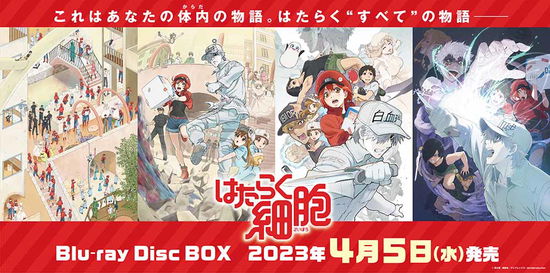 Cells at Work Blu-ray Disc Box <limited> - Shimizu Akane - Muzyka - ANIPLEX CORPORATION - 4534530141491 - 5 kwietnia 2023