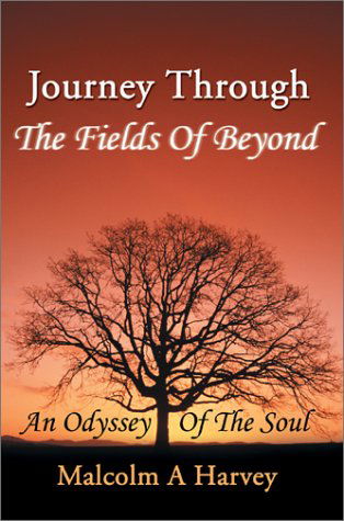 Cover for Malcolm A. Harvey · Journey Through the Fields of Beyond: an Odyssey of the Soul (Hardcover Book) (2002)