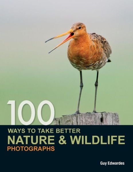 Cover for Edwardes, Guy (Author) · 100 Ways to Take Better Nature &amp; Wildlife Photographs (Pocketbok) (2011)
