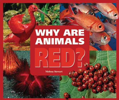 Cover for Melissa Stewart · Why Are Animals Red? (Rainbow of Animals) (Hardcover Book) (2009)