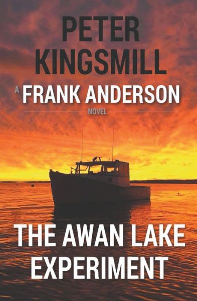 The Awan Lake Experiment - Peter Kingsmill - Bøger - Draft2digital - 9781393769491 - 30. juni 2020