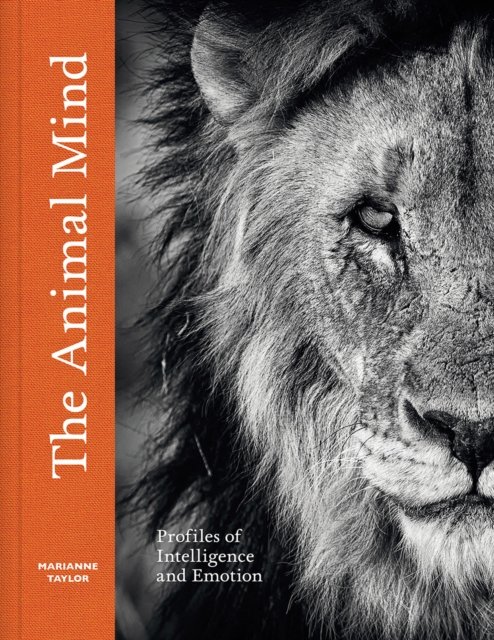 Cover for Marianne Taylor · The Animal Mind: Profiles of Intelligence and Emotion (Inbunden Bok) (2024)