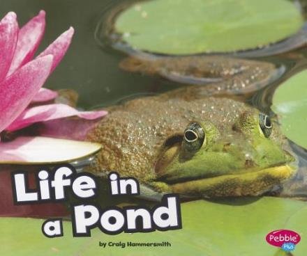 Cover for Craig Hammersmith · Life in the Pond (Habitats Around the World) (Paperback Book) (2011)