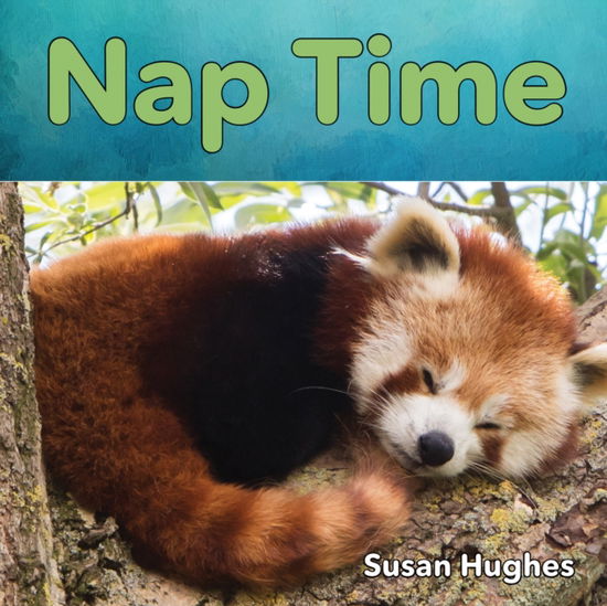 Cover for Hughes · Nap Time (Board book) (2017)