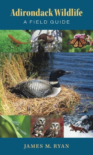 Cover for James M. Ryan · Adirondack Wildlife (Pocketbok) [Annotated edition] (2024)