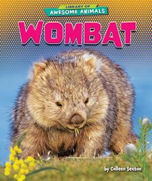 Wombat - Colleen Sexton - Books - Bearport Books - 9781647471491 - August 1, 2020