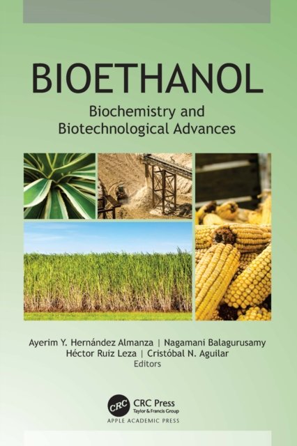 Cover for Ayerim Y. Hernández Almanza · Bioethanol: Biochemistry and Biotechnological Advances (Innbunden bok) (2022)