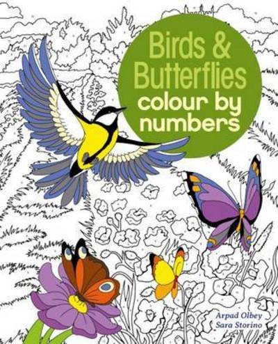 Cover for Storino, Sara (Illustrator) · Birds &amp; Butterflies Colour by Numbers - Arcturus Colour by Numbers Collection (Paperback Bog) (2017)