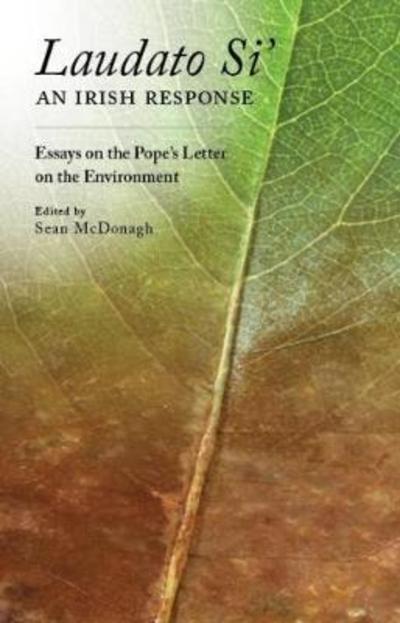 Cover for Sean Mcdonagh · Reflections on Laudato Si' (Paperback Book) (2017)