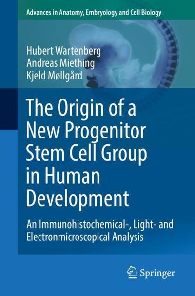 Cover for Hubert Wartenberg · The Origin of a New Progenitor Stem Cell Group in Human Development: An Immunohistochemical-, Light- and Electronmicroscopical Analysis - Advances in Anatomy, Embryology and Cell Biology (Paperback Book) [2019 edition] (2019)