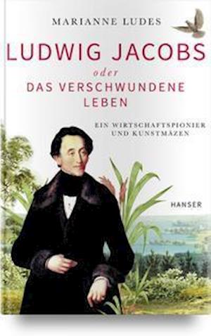 Cover for Marianne Ludes · Ludwig Jacobs oder das verschwundene Leben (Hardcover Book) (2021)