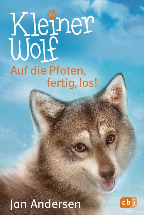 Cover for Andersen · Kleiner Wolf (Book)