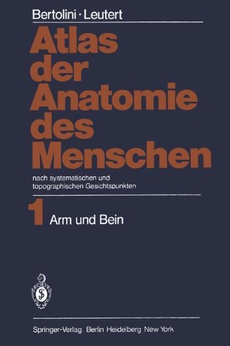 Cover for Rolf Bertolini · Atlas Der Anatomie Des Menschen: Nach Systematischen Und Topographischen Gesichtspunkten Band 1: Arm Und Bein (Paperback Bog) [Softcover Reprint of the Original 1st 1978 edition] (2012)