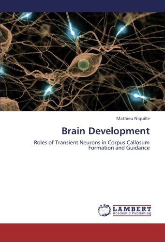 Cover for Mathieu Niquille · Brain Development: Roles of Transient Neurons in Corpus Callosum Formation and Guidance (Paperback Book) (2012)