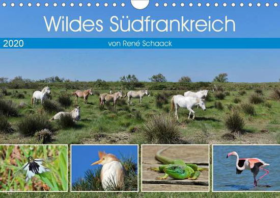 Cover for Schaack · Wildes Südfrankreich (Wandkalen (Bok)