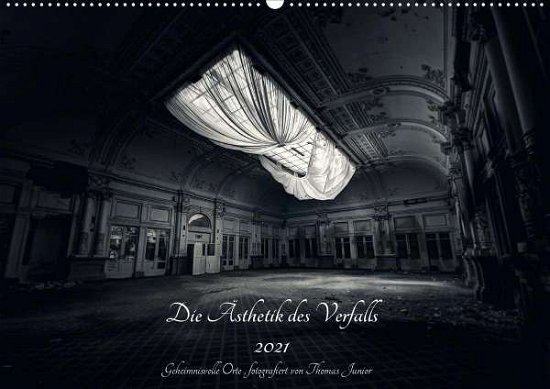 Cover for Junior · Lost in Decay 2021 - Die Ästheti (Buch)