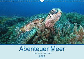 Abenteuer Unterwasser (Wandkalend - Peyer - Books -  - 9783672369491 - 