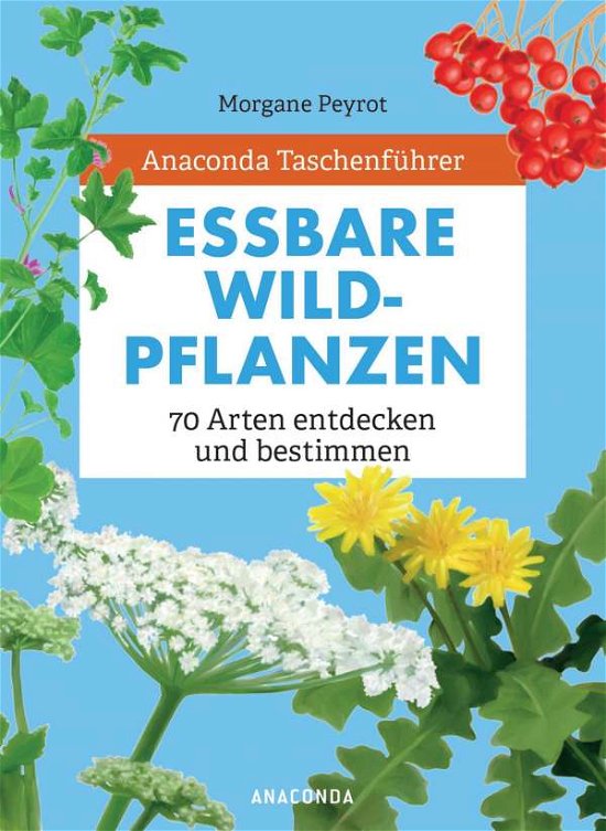 Anaconda Taschenführer Essbare W - Peyrot - Bøger -  - 9783730609491 - 